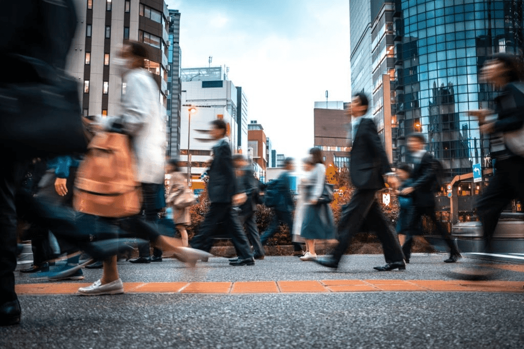 Professional Bookkeeping Services in Dubai