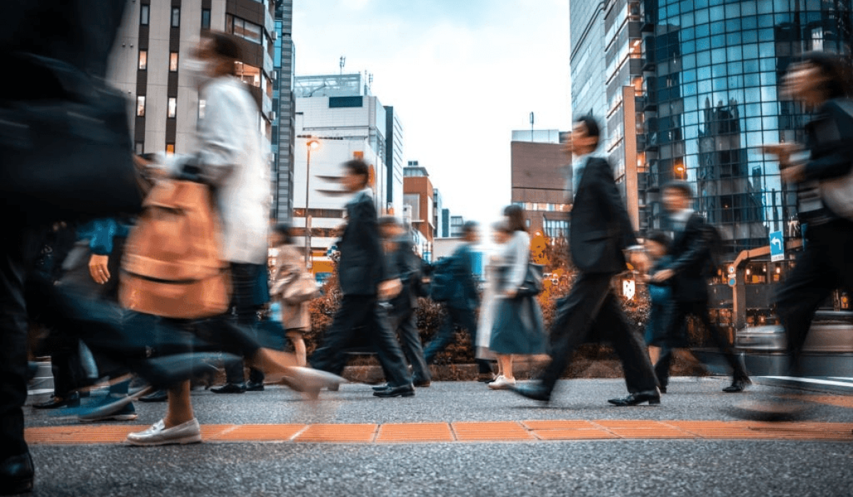 Professional Bookkeeping Services in Dubai